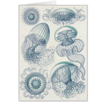 Ernst Haeckel Art Card: Leptomedusae