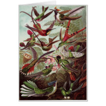 Ernst Haeckel Art Card: Trochilidae