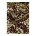 Ernst Haeckel Art Print: Lacertilia