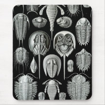 Ernst Haeckel - Aspidonia Mousepads