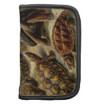 Ernst Haeckel - Chelonia Folio Planner