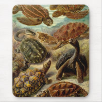 Ernst Haeckel - Chelonia Mousepads
