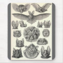 Ernst Haeckel - Chiroptera Bats mousepads