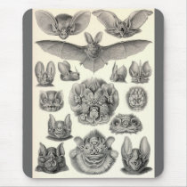 Ernst Haeckel - Chiroptera Bats mousepads by LisasLair Ernst Haeckel - Chiroptera Bats mousepads