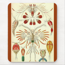 Ernst Haeckel - Copepoda mauspads