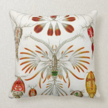 Ernst Haeckel Copepodae two sided pillow pillows