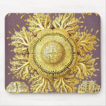 Ernst Haeckel - Discomedusae3 Detail Mouse Pad mousepads