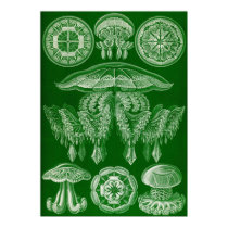 Ernst Haeckel - Discomedusae4 poster by LisasLair Ernst Haeckel - Discomedusae4 poster