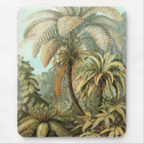 Ernst Haeckel - Filicinae2 mousepads