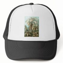 Ernst Haeckel Filicinae kappen