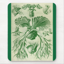 Ernst Haeckel - Filicinae mousepads