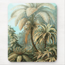 Ernst Haeckel - Filicinae Mousepads