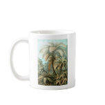 Ernst Haeckel Filicinae mugs