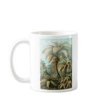 Ernst Haeckel - Filicinae Mugs