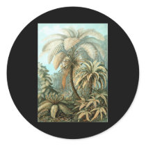 Ernst Haeckel Filicinae sticker
