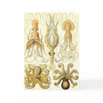 Ernst Haeckel - Gamochonia cards by LisasLair Ernst Haeckel - Gamochonia cards