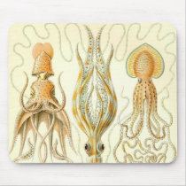 Ernst Haeckel - Gamochonia Detail mousepads by LisasLair Ernst Haeckel - Gamochonia Detail mousepads