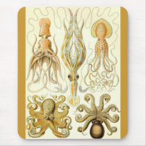 Ernst Haeckel - Gamochonia mousepads by LisasLair Ernst Haeckel - Gamochonia mousepads