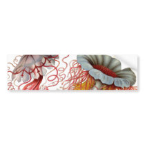 Ernst Haeckel - Kuntsformen der Nature Product Bumper Sticker
