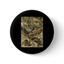 Ernst Haeckel Lacertilia buttons