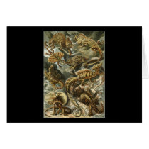 Ernst Haeckel Lacertilia karten