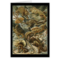 Ernst Haeckel Lacertilia karten