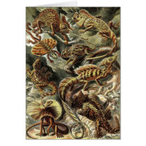 Ernst Haeckel - Lacertilia Lizards Cards