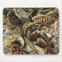 Ernst Haeckel - Lacertilia Echsen Detail mauspads