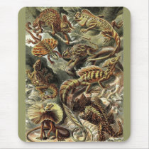 Ernst Haeckel - Lacertilia Echsen mauspads