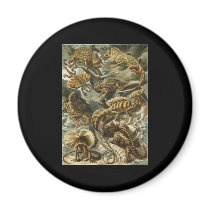 Ernst Haeckel Lacertilia magnete