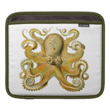 Ernst Haeckel Octopus Ipad sleeve
