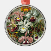 Ernst Haeckel - Orchidae Christmas Tree Ornament