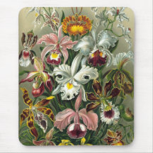 Ernst Haeckel - Orchidae Mouse Pad