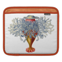 Ernst Haeckel Siphonophorae (1)  Ipad Sleeve