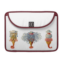Ernst Haeckel Siphonophorae Laptop Sleeve Sleeve For Macbooks