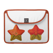 Ernst Haeckel Starfish laptop sleeve Macbook Pro Sleeves