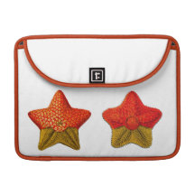 Ernst Haeckel Starfish laptop sleeve MacBook Pro Sleeves