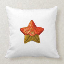 Ernst Haeckel starfish pillow pillows