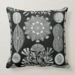 Ernst Haeckel throw pillow
