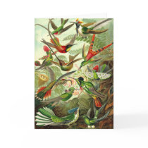 Ernst Haeckel - Trochilidae Hummingbirds cards by LisasLair Ernst Haeckel - Trochilidae Hummingbirds cards