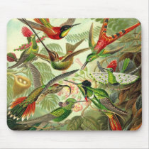 Ernst Haeckel - Trochilidae Hummingbirds Detail1 mousepads