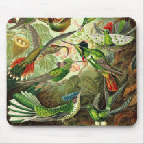 Ernst Haeckel - Trochilidae Hummingbirds Detail2 mousepads