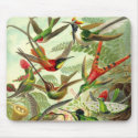 Ernst Haeckel - Trochilidae Hummingbirds Detail3 mousepads