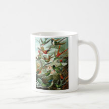 Ernst Haeckel - Trochilidae Mug