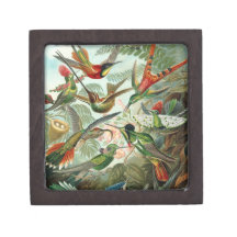 Ernst Haeckel - Trochilidae Premium Keepsake Box
