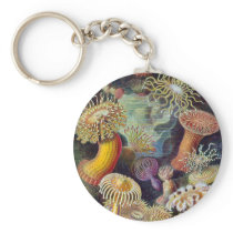 Ernst Haeckel's Actiniae Keychain keychains