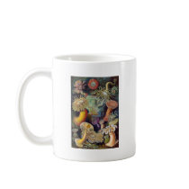 Ernst Haeckel's Actiniae Mug mugs