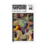 Ernst Haeckel's Actiniae Stamps