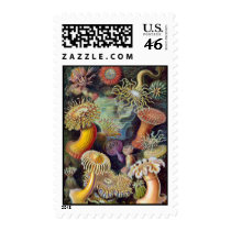 Ernst Haeckel's Actiniae Stamps stamps