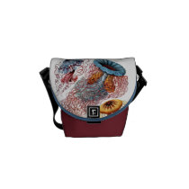 Ernst Haeckel's Discomedusae Courier Bag